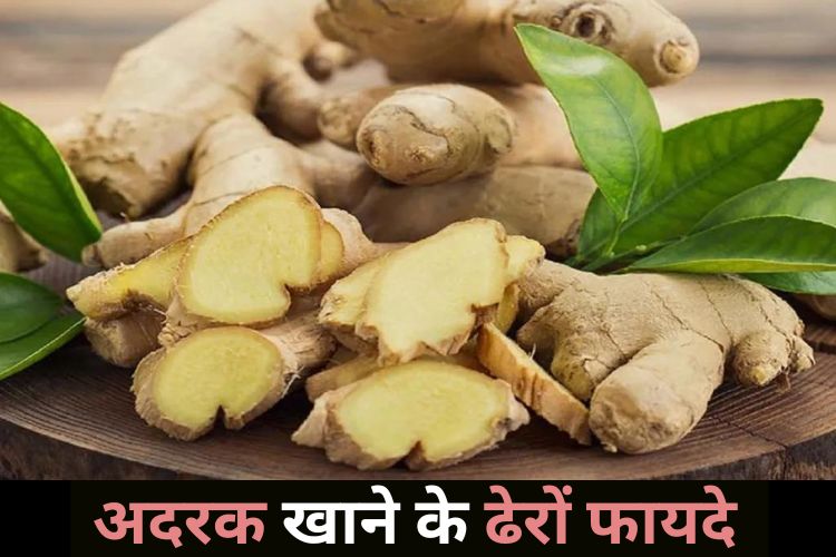 सर्दियों में इम्यून सिस्टम को बनाएं मजबूत, बीमारियां रहेंगी दूर 